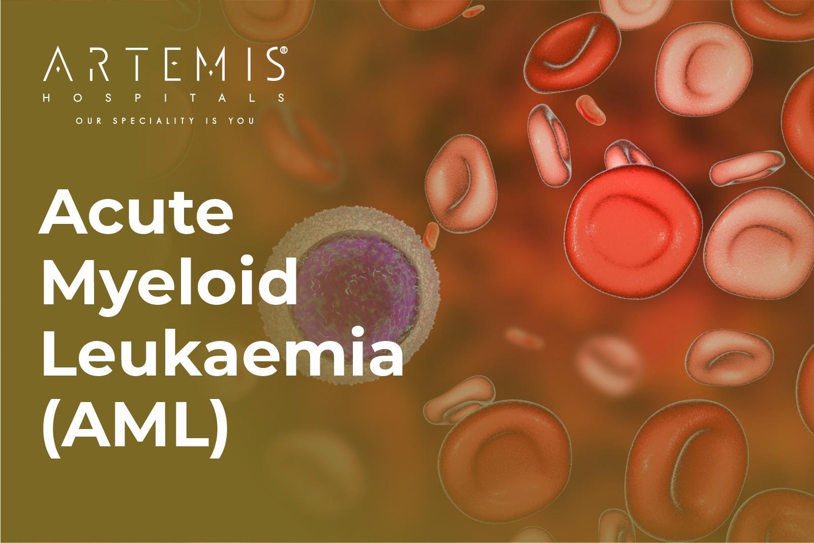 Acute Myeloid Leukaemia