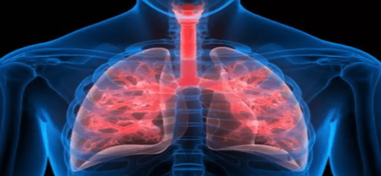 enhancing-nutrition-to-combat-tuberculosis
