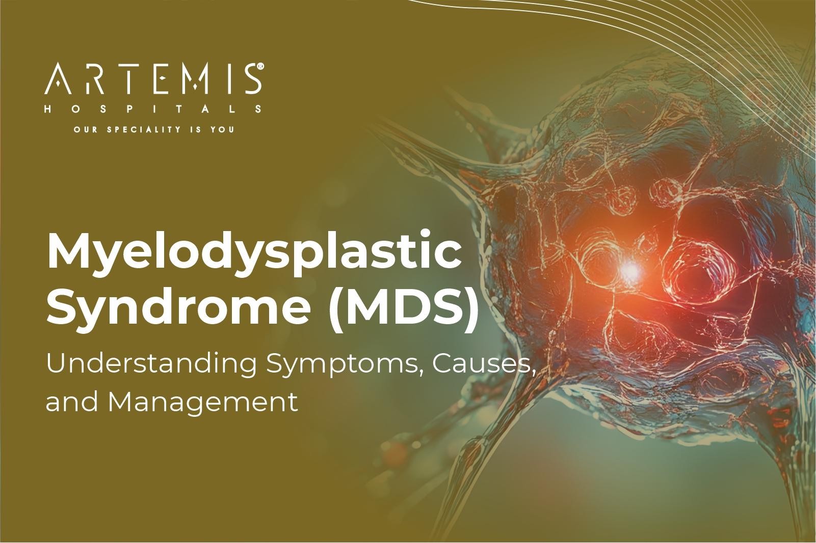 Myelodysplastic Syndrome