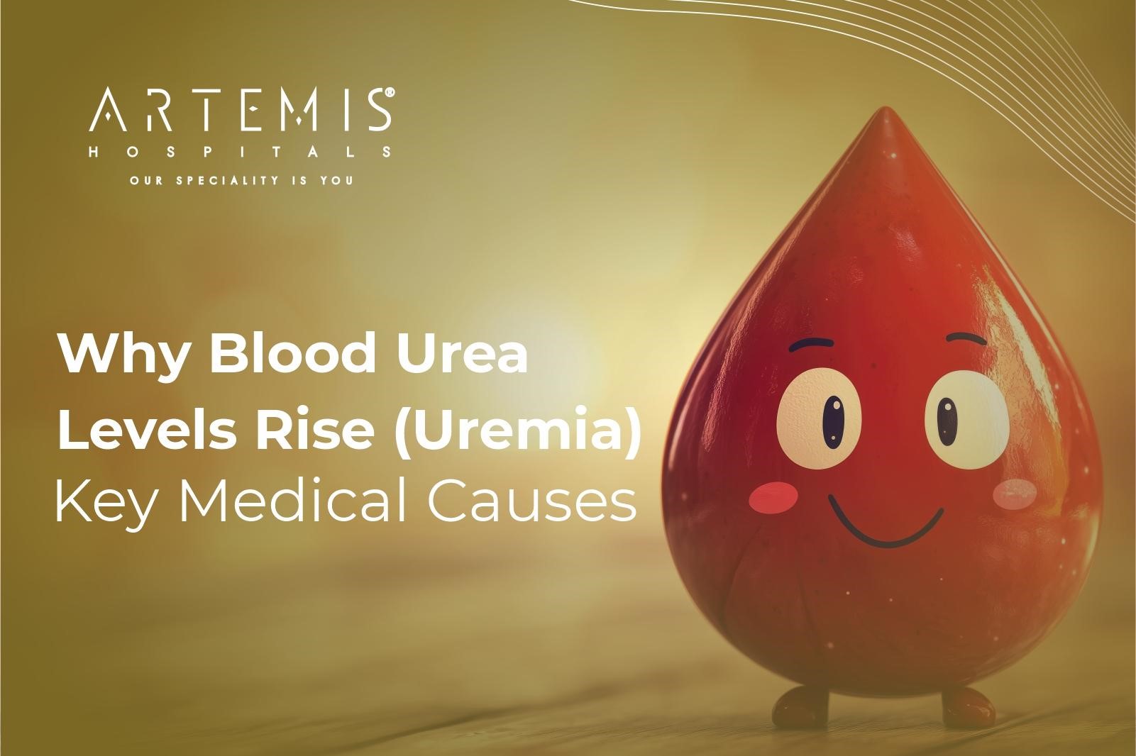 High Urea in Blood