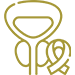 Second Opinion for Prostate Cancer