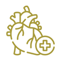 Cardiology Icon