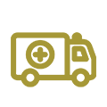 Emergency & Trauma Icon