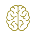 Neurology Icon